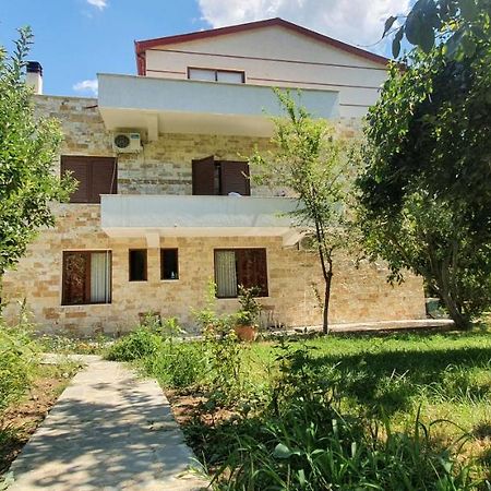 Xho'S Forest Guest House Berat Dış mekan fotoğraf