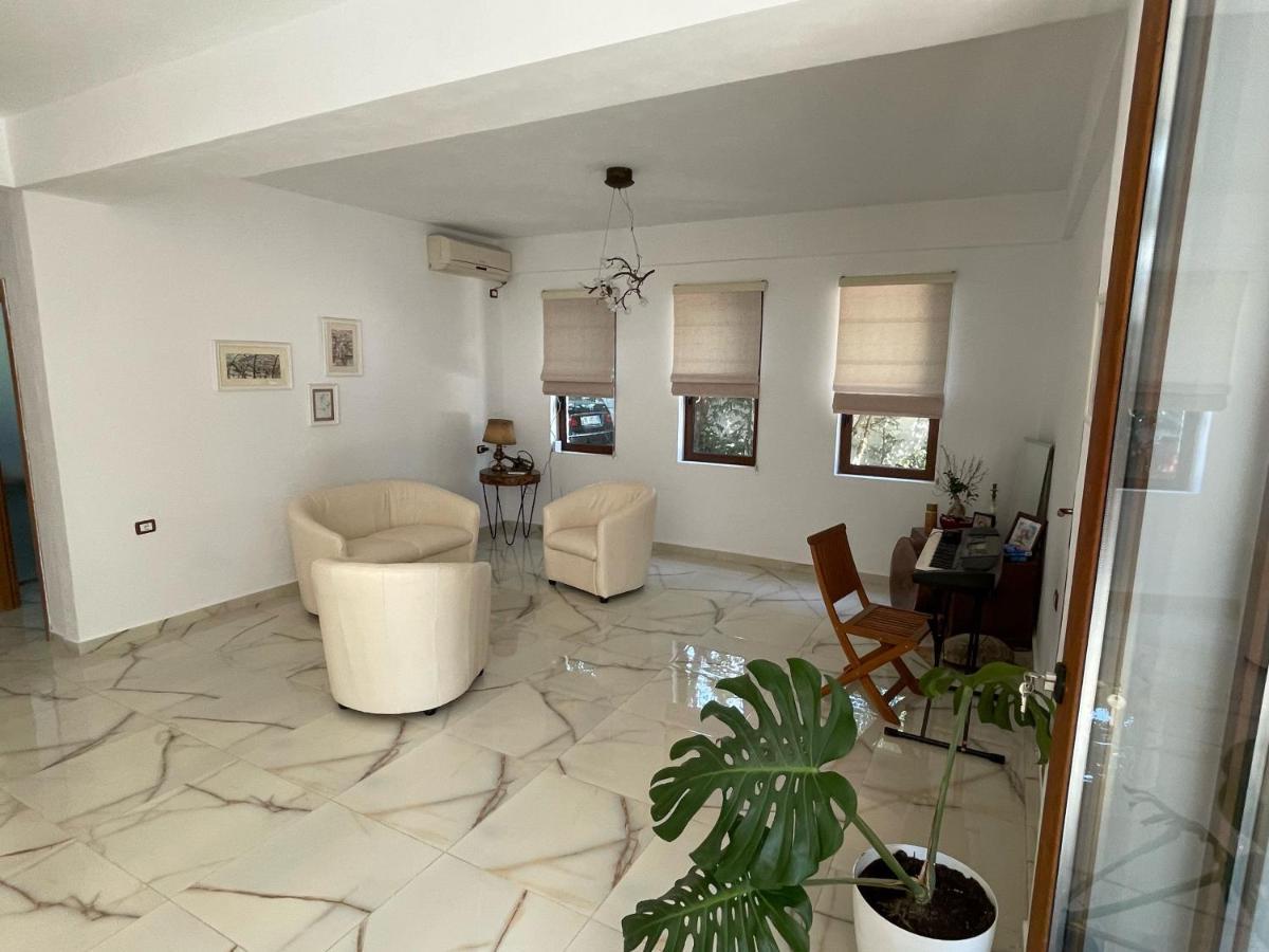 Xho'S Forest Guest House Berat Dış mekan fotoğraf