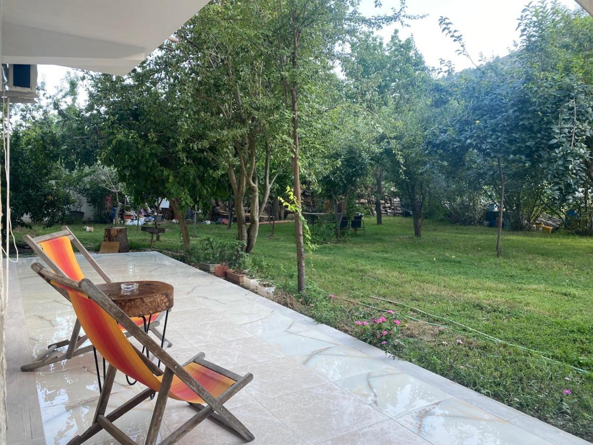 Xho'S Forest Guest House Berat Dış mekan fotoğraf