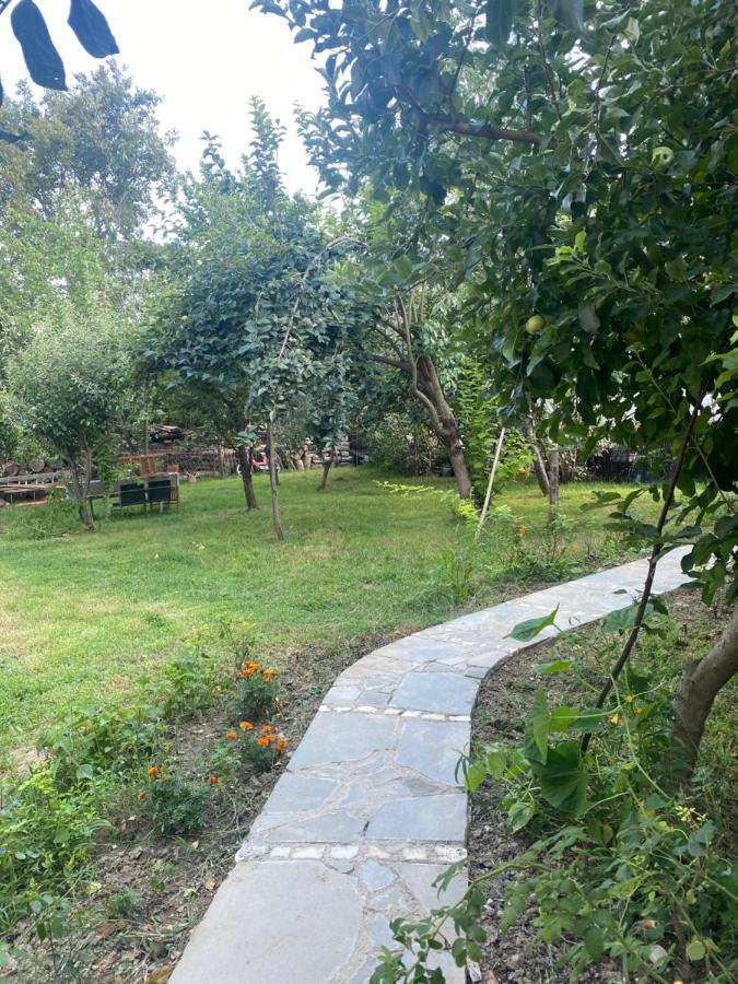 Xho'S Forest Guest House Berat Dış mekan fotoğraf
