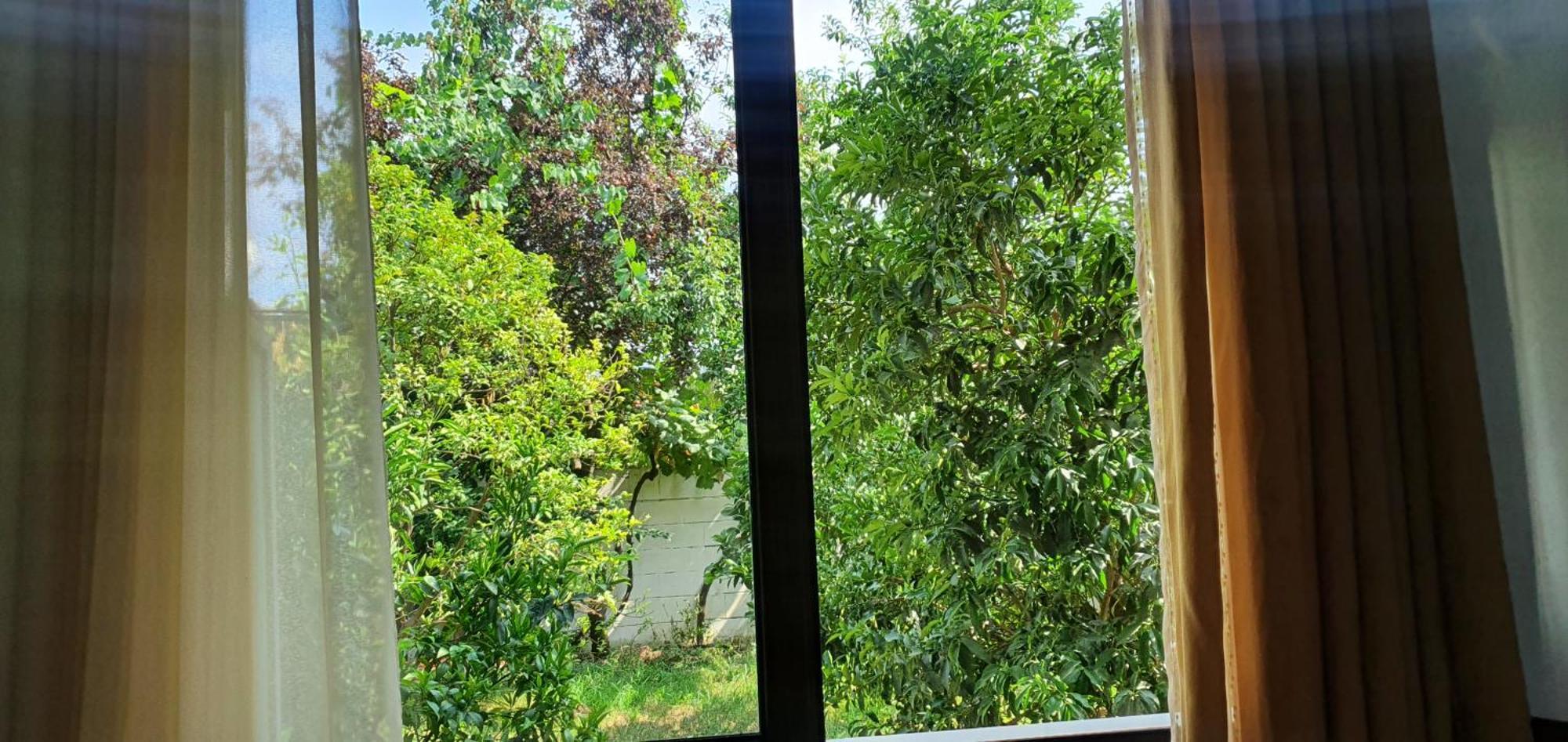 Xho'S Forest Guest House Berat Oda fotoğraf